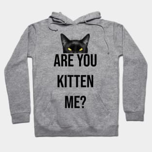 Are you kitten me? Hoodie